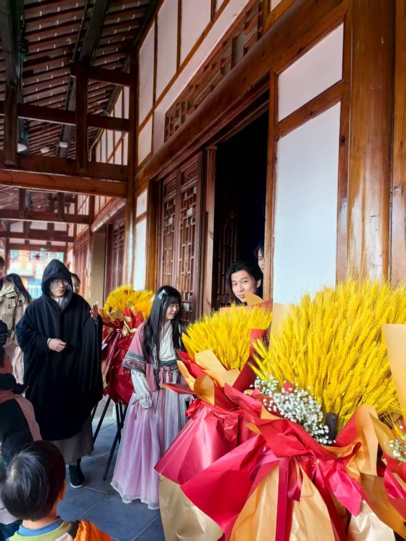 城西区文旅策划公司